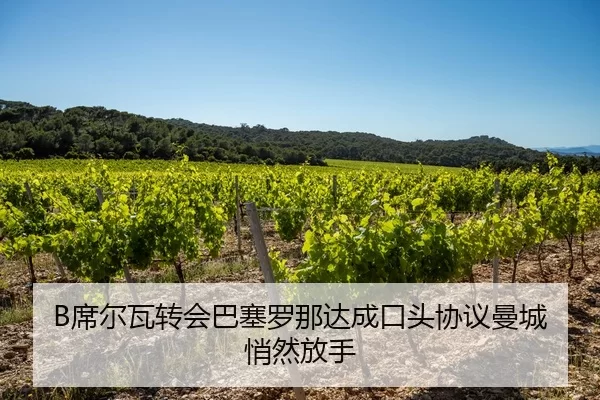 B席尔瓦转会巴塞罗那达成口头协议曼城悄然放手