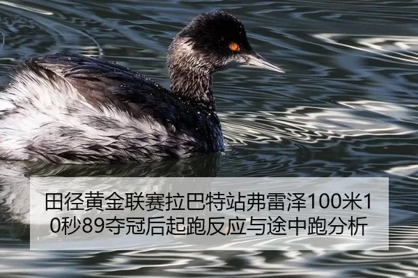 田径黄金联赛拉巴特站弗雷泽100米10秒89夺冠后起跑反应与途中跑分析